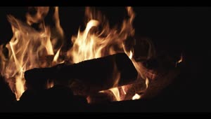 Stock Video Logs Burning In The Campfire Animated Wallpaper