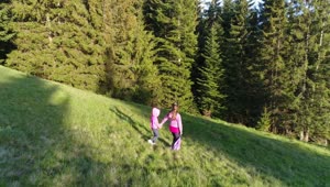Stock Video Little Sisters Walking Down A Hill In A Meadow Animated Wallpaper