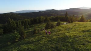 Stock Video Little Sisters Playing In The Meadow Of A Ranch Animated Wallpaper