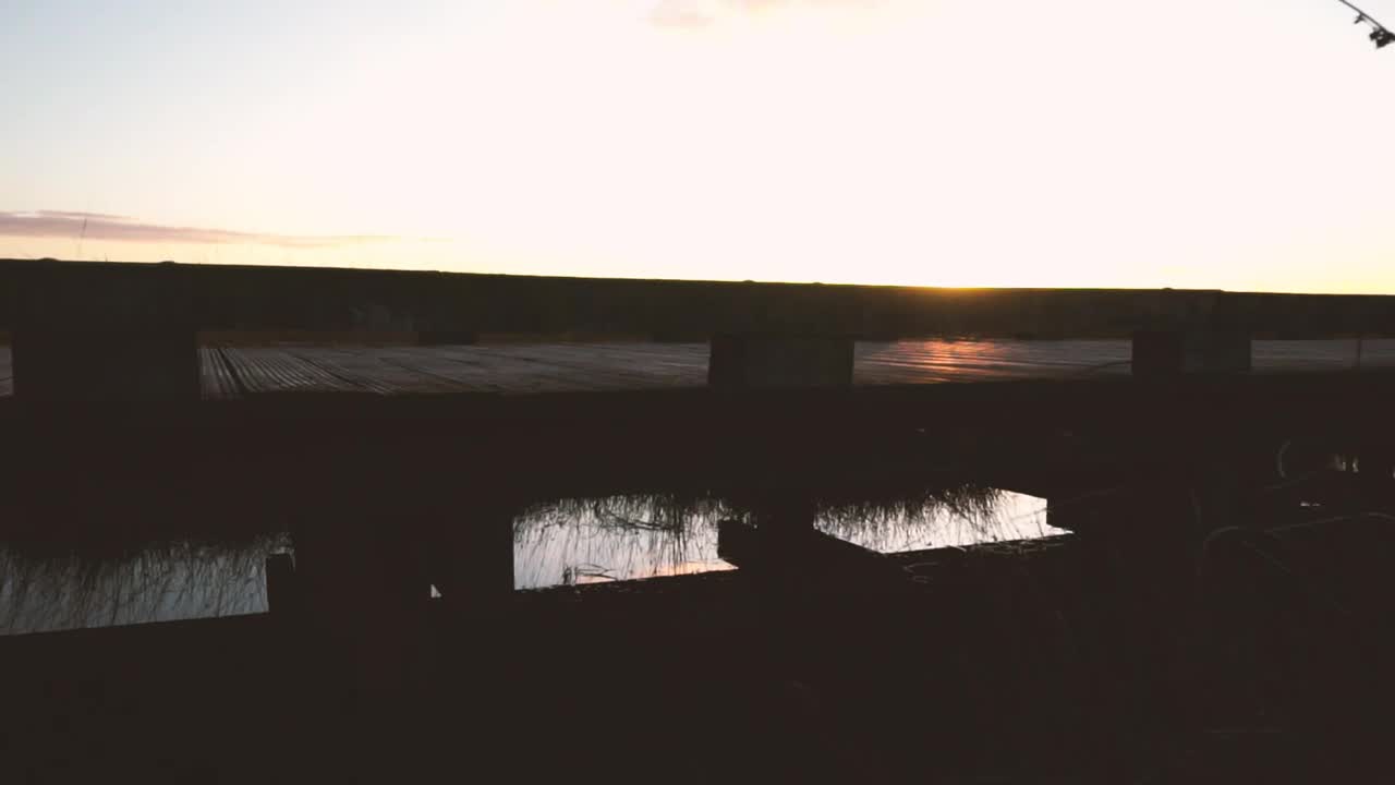 Download Stock Video Little Pedestrian Bridge In The Forest Animated Wallpaper