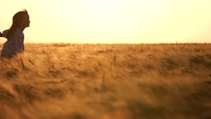 Stock Video Little Girl Runs Freely Across Field Of Wheat At Sunset Animated Wallpaper