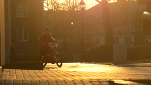 Stock Video Little Girl Riding A Bike In The Sunset Animated Wallpaper