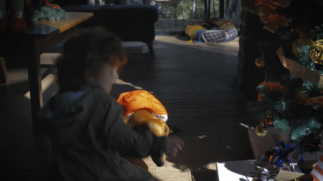 Download Stock Video Little Girl Playing With Her Dog On Christmas Morning Animated Wallpaper