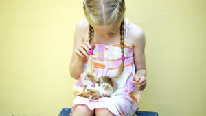 Stock Video Little Girl Playing With A Kitten On Her Lap Animated Wallpaper