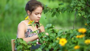 Stock Video Little Girl Collecting Berries On The Farm Animated Wallpaper