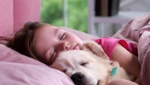 Stock Video Little Girl Asleep With Her Dog Animated Wallpaper
