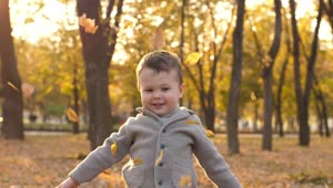 Stock Video Little Boy In The Park While Floating Autumn Leaves Animated Wallpaper