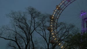Stock Video Lights Around A Ferris Wheel Animated Wallpaper