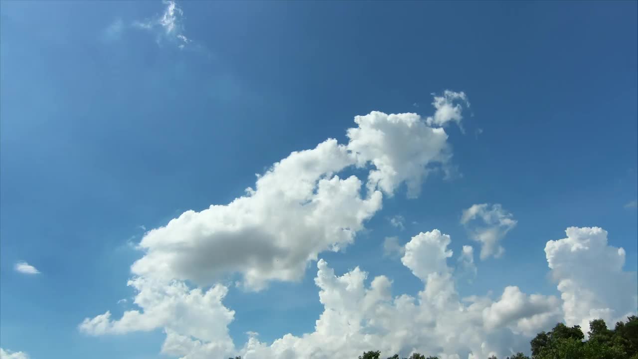 Download Stock Video Light Blue Sky Above Woodland Animated Wallpaper