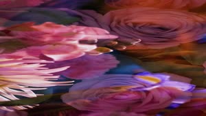 Stock Video Lgbtq Conceptual Video Of A Boys Hand Appreciating Flowers Animated Wallpaper