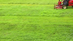Stock Video Lawn Mower On A Green Grass Animated Wallpaper