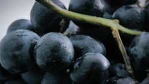 Download Stock Video Large Purple Grapes With A Close Focus Animated Wallpaper