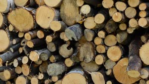 Stock Video Large Firewood Ready For Use Smal Animated Wallpaper