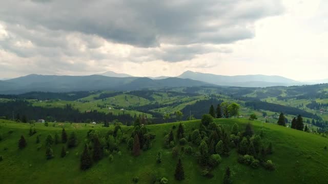Download Stock Video Large Expanse Of Green Field Near A Village Smal Animated Wallpaper