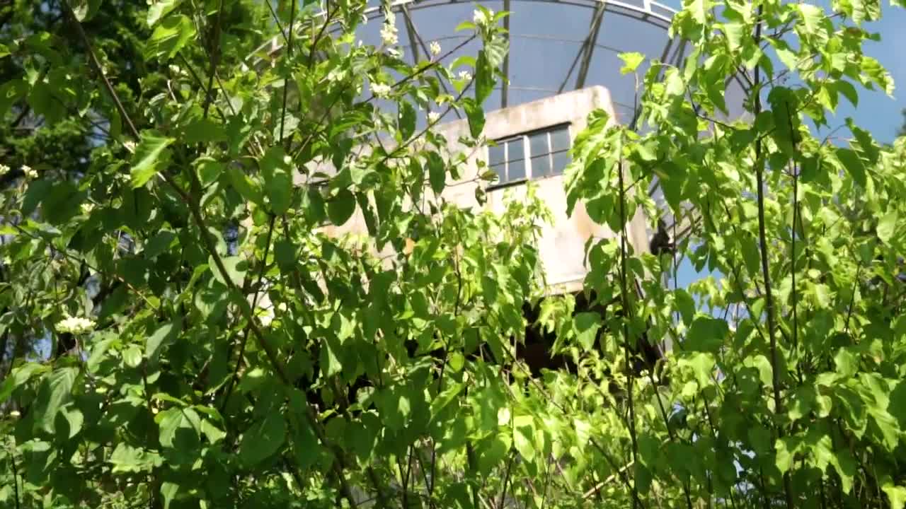 Download Stock Video Large Abandoned And Dilapidated Antenna Animated Wallpaper