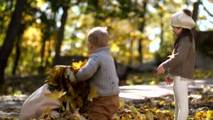Stock Video Mother Throwing Leaves At Her Kid Animated Wallpaper