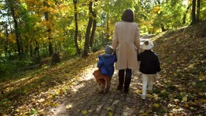 Stock Video Mother And Hers Sons Walking Through A Fores Animated Wallpaper