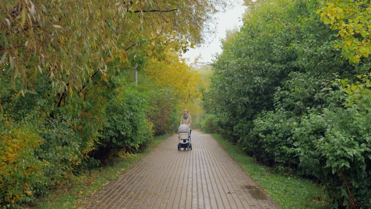 Download Stock Video Mother And Baby Walking Through A City Par Animated Wallpaper