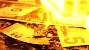 Stock Video Money On Fire Covered In As Animated Wallpaper