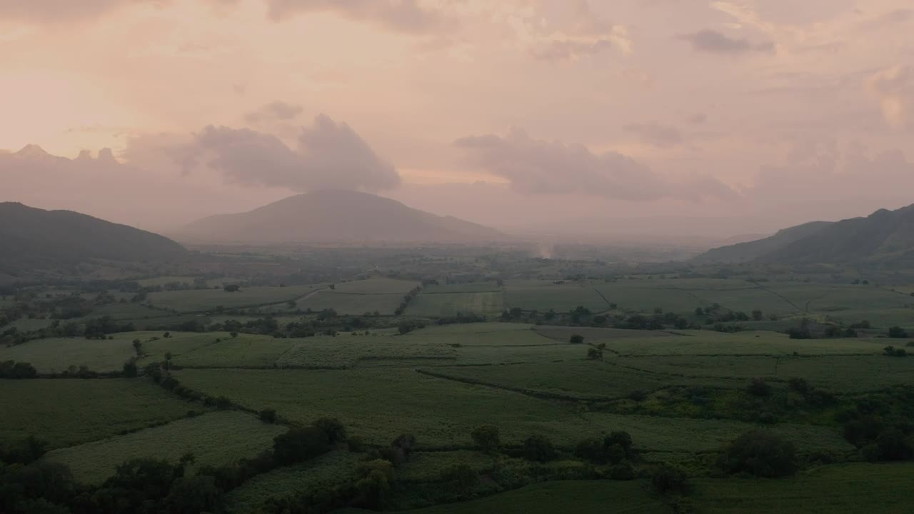 Download Stock Video Misty Sunrise Over Green Field Animated Wallpaper