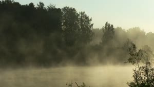 Stock Video Mist In The Forest Lak Animated Wallpaper