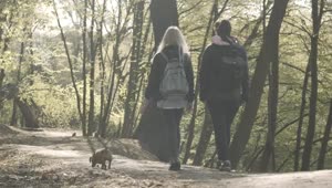Stock Video Millennial Girlfriends Walk Little Dog On Forest Pat Animated Wallpaper