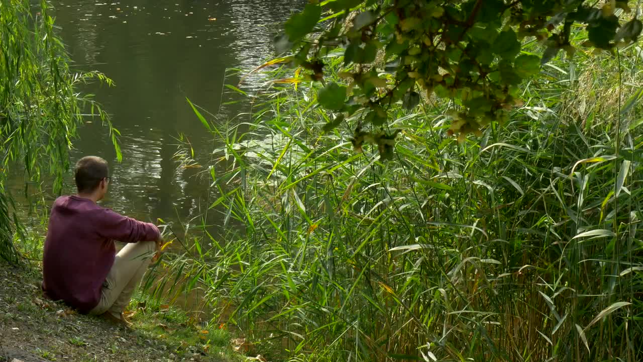 Download Stock Video Meditative Man Sitting On The Shore Of A Lak Animated Wallpaper