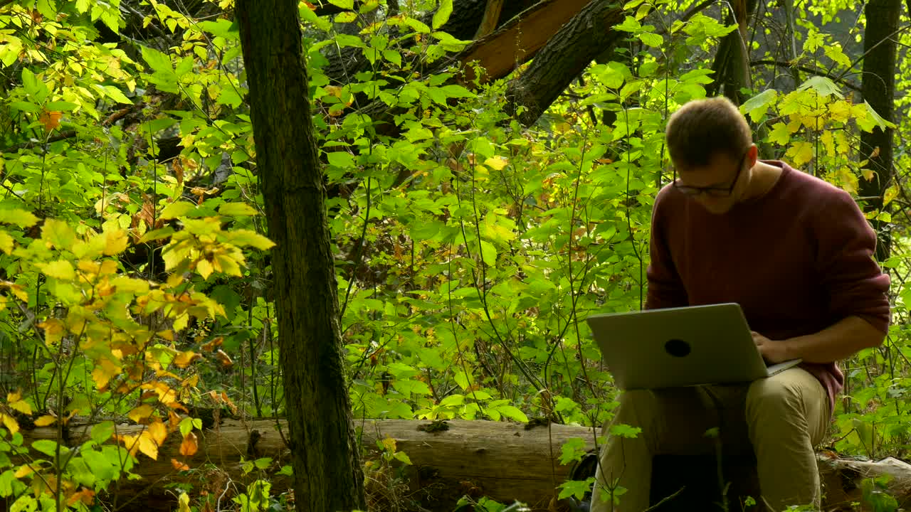 Download Stock Video Man With Laptop Sitting On A Fallen Tre Animated Wallpaper