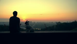 Stock Video Man With His Dog Watching The Sunset On The Horizo Animated Wallpaper