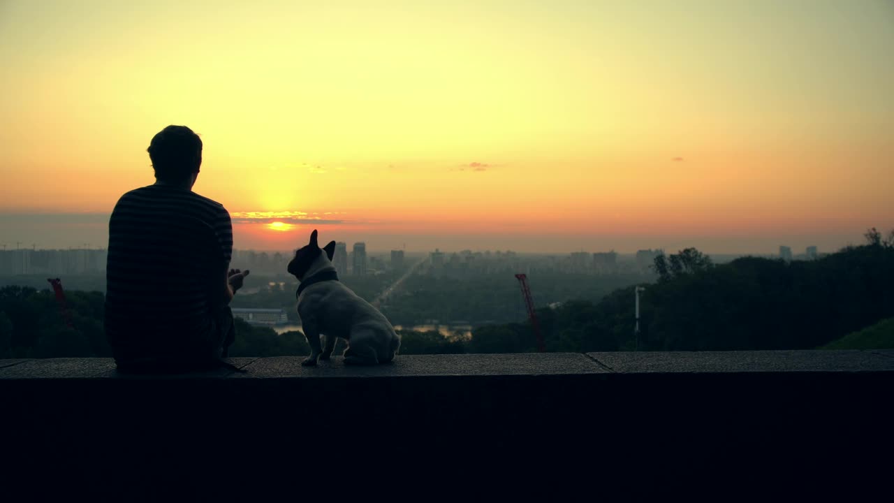 Download Stock Video Man With His Dog Watching The Sunset On The Horizo Animated Wallpaper