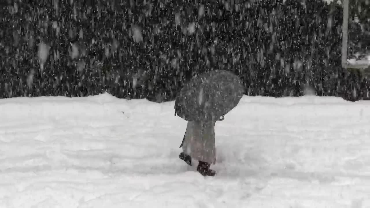 Download Stock Video Man With An Umbrella Walking In The Sno Animated Wallpaper