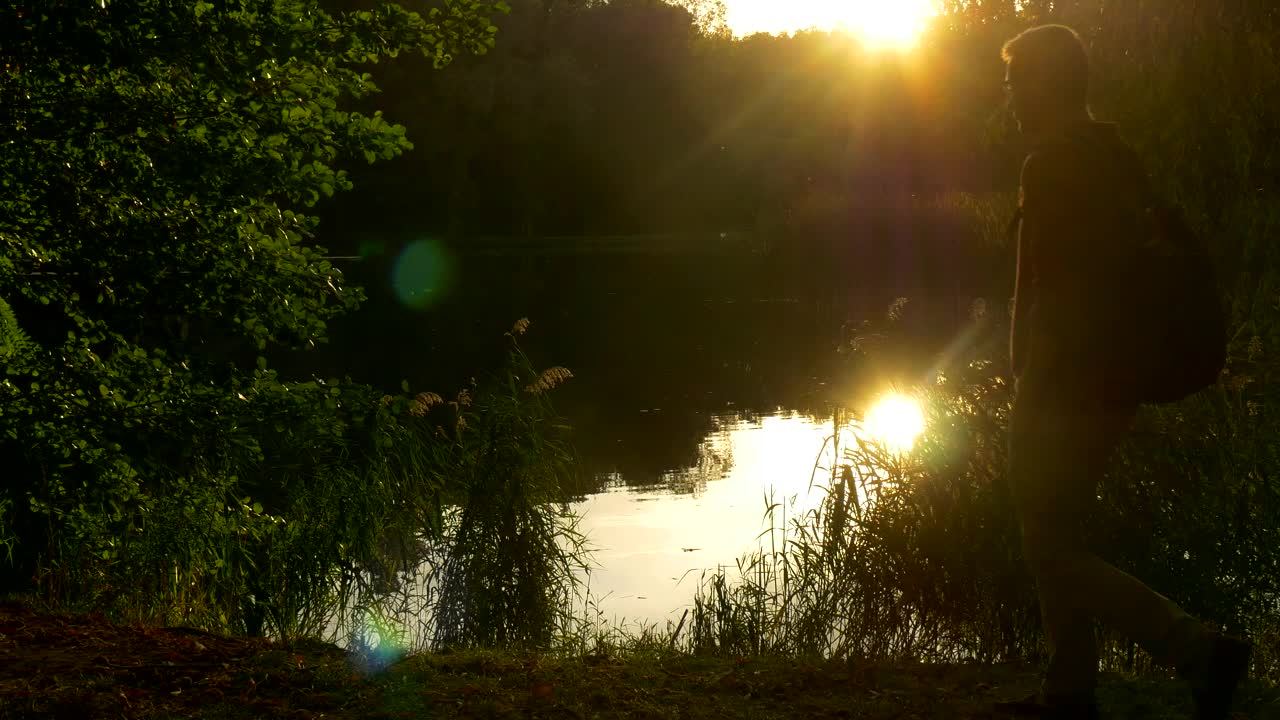 Download Stock Video Man Watching The Sunset By The Rive Animated Wallpaper