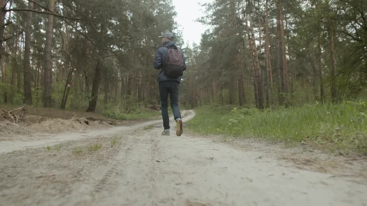 Download Stock Video Man Walking Through The Wood Animated Wallpaper