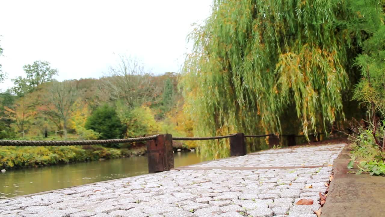 Download Stock Video Man Walking In A Park By A Rive Animated Wallpaper