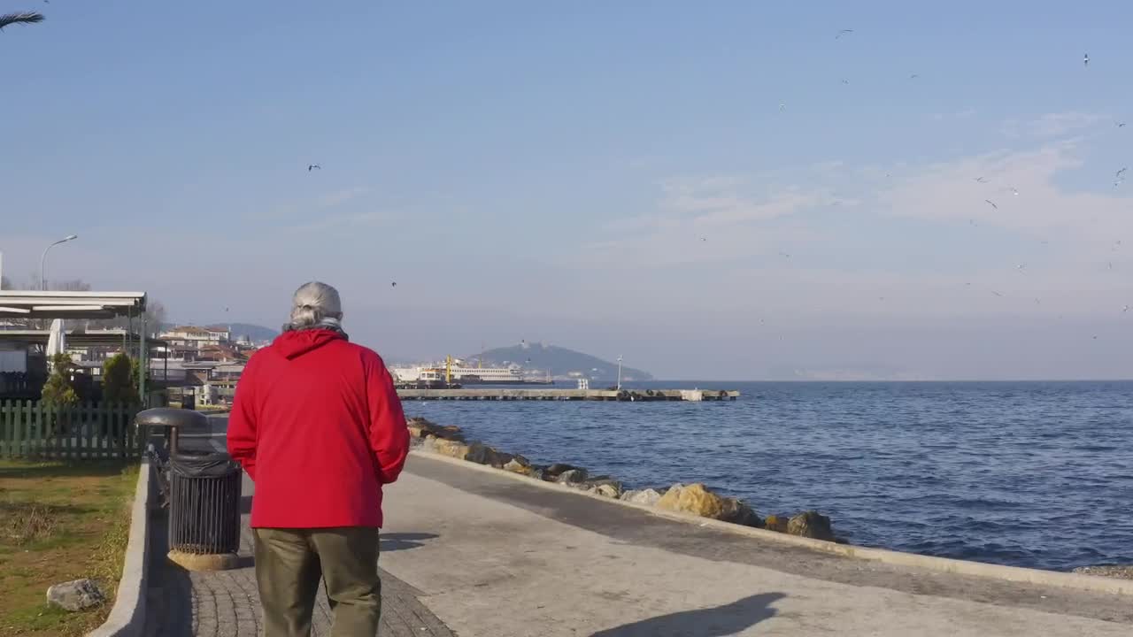 Download Stock Video Man Walking By The Ocea Animated Wallpaper