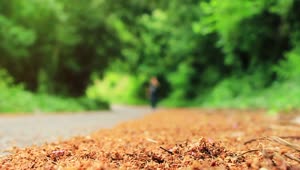 Stock Video Man Walking Alone On The Road In Natur Animated Wallpaper