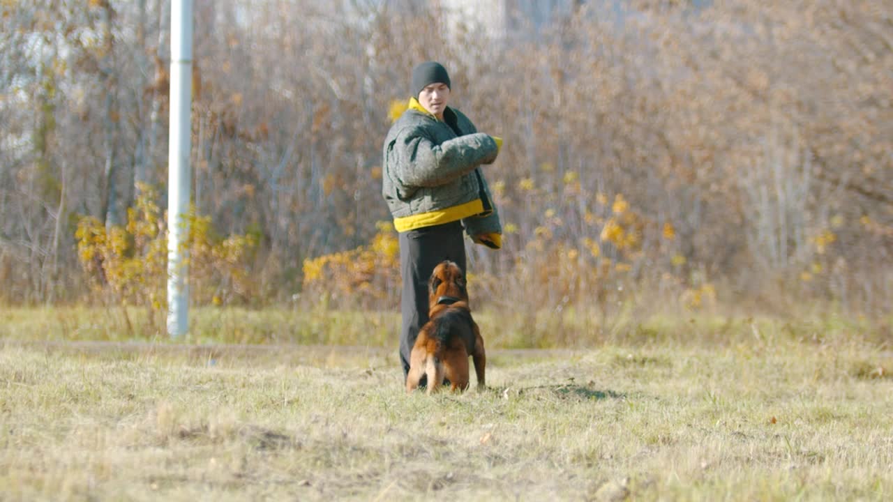 Download Stock Video Man Training A Dog Outdoor Animated Wallpaper