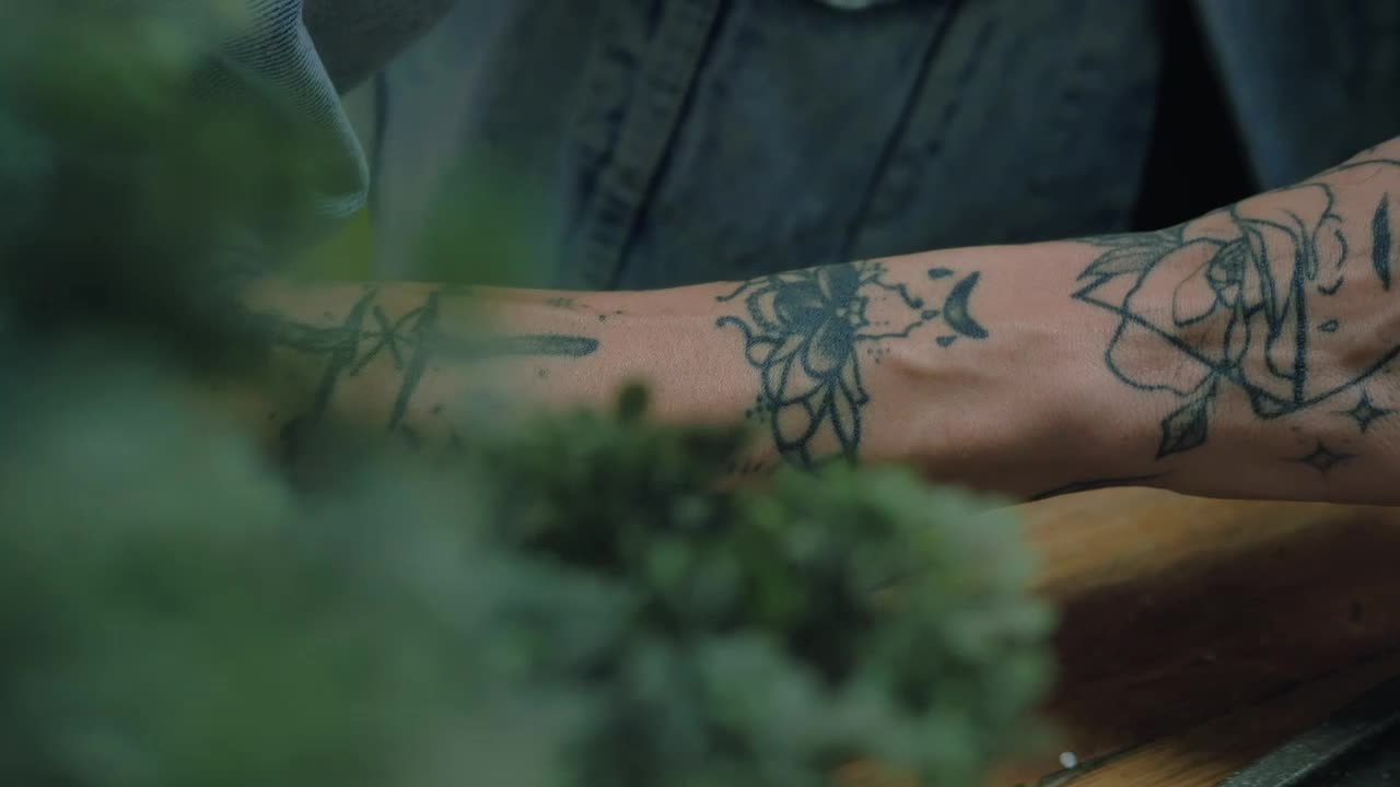 Download Stock Video Man Rolling A Join Animated Wallpaper