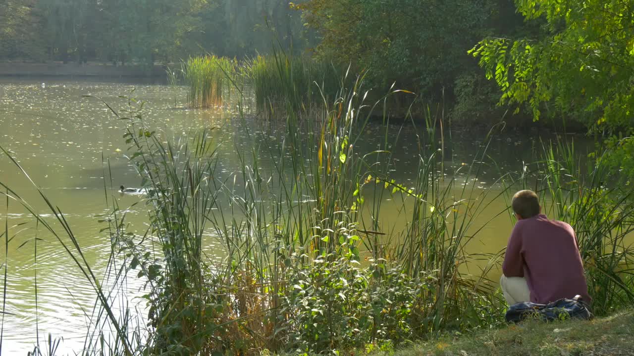 Download Stock Video Man Reading A Book By The Lak Animated Wallpaper