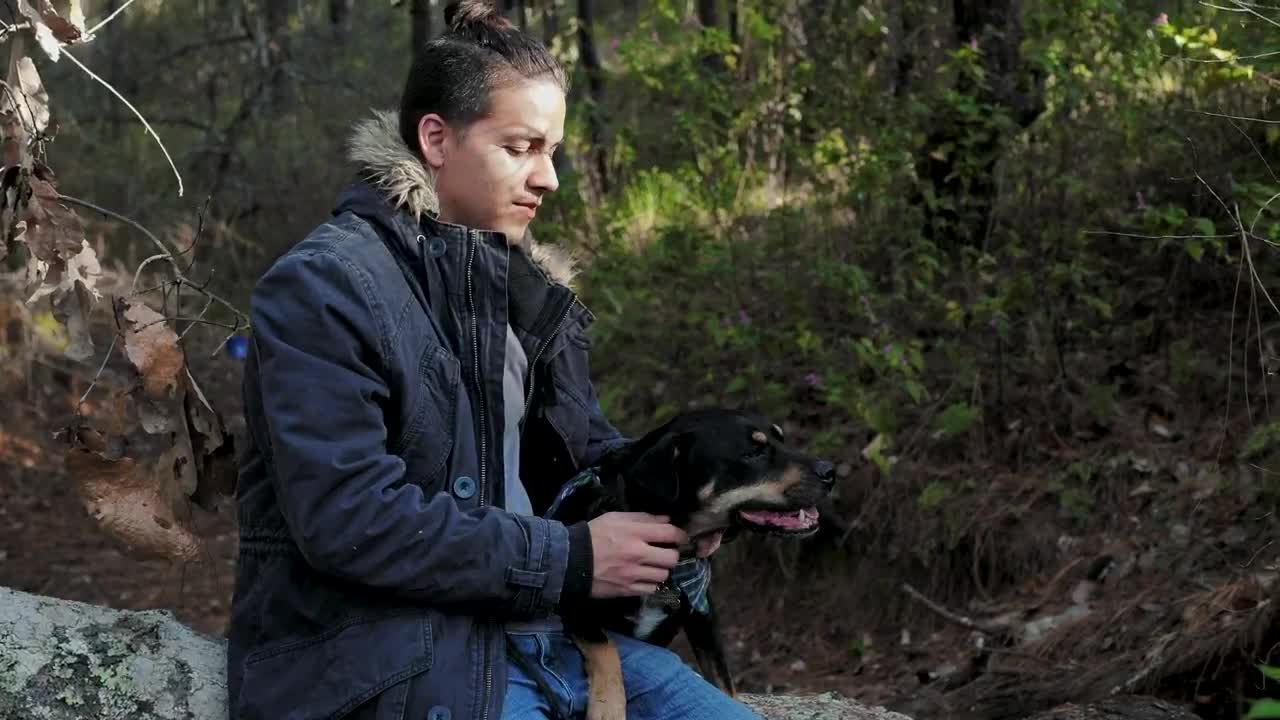 Download Stock Video Man Pets His Dog In The Fores Animated Wallpaper