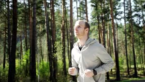 Stock Video Man Jogging In Forest Checks Gps Watc Animated Wallpaper