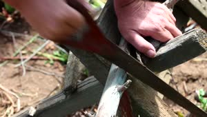 Stock Video Man Is Sawing Tree Branche Animated Wallpaper
