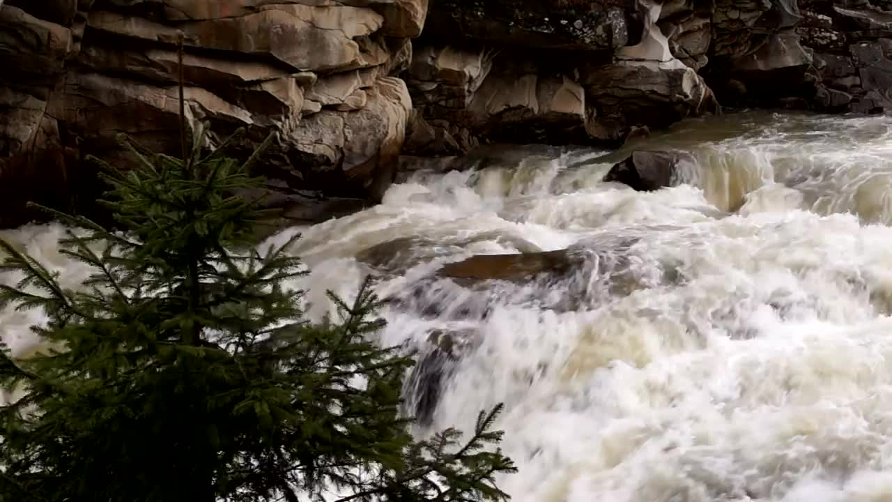 Download Stock Video Mountain Stream With Waterfall Live Wallpaper