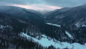 Stock Video Mountainous Forest Full Of Snow Aerial View Live Wallpaper