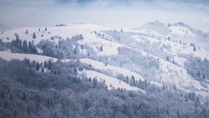 Stock Video Mountainous Forest In Winter Seen From Afar Live Wallpaper