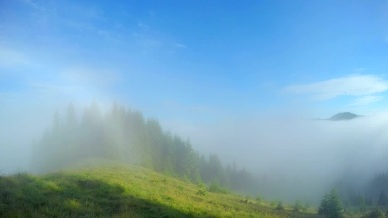 Download Stock Video Mountains And Forest With Morning Mist Live Wallpaper