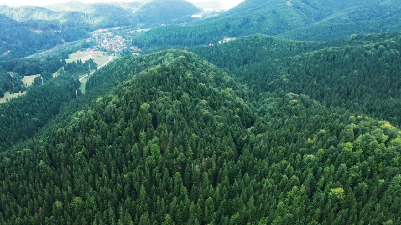 Download Stock Video Mountains Covered In Thick Forests Live Wallpaper
