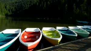 Stock Video Multicolor Boats In The Lake Pier Live Wallpaper