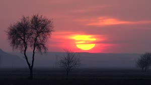 Stock Video Mystic Red Sunset In The Countryside Live Wallpaper