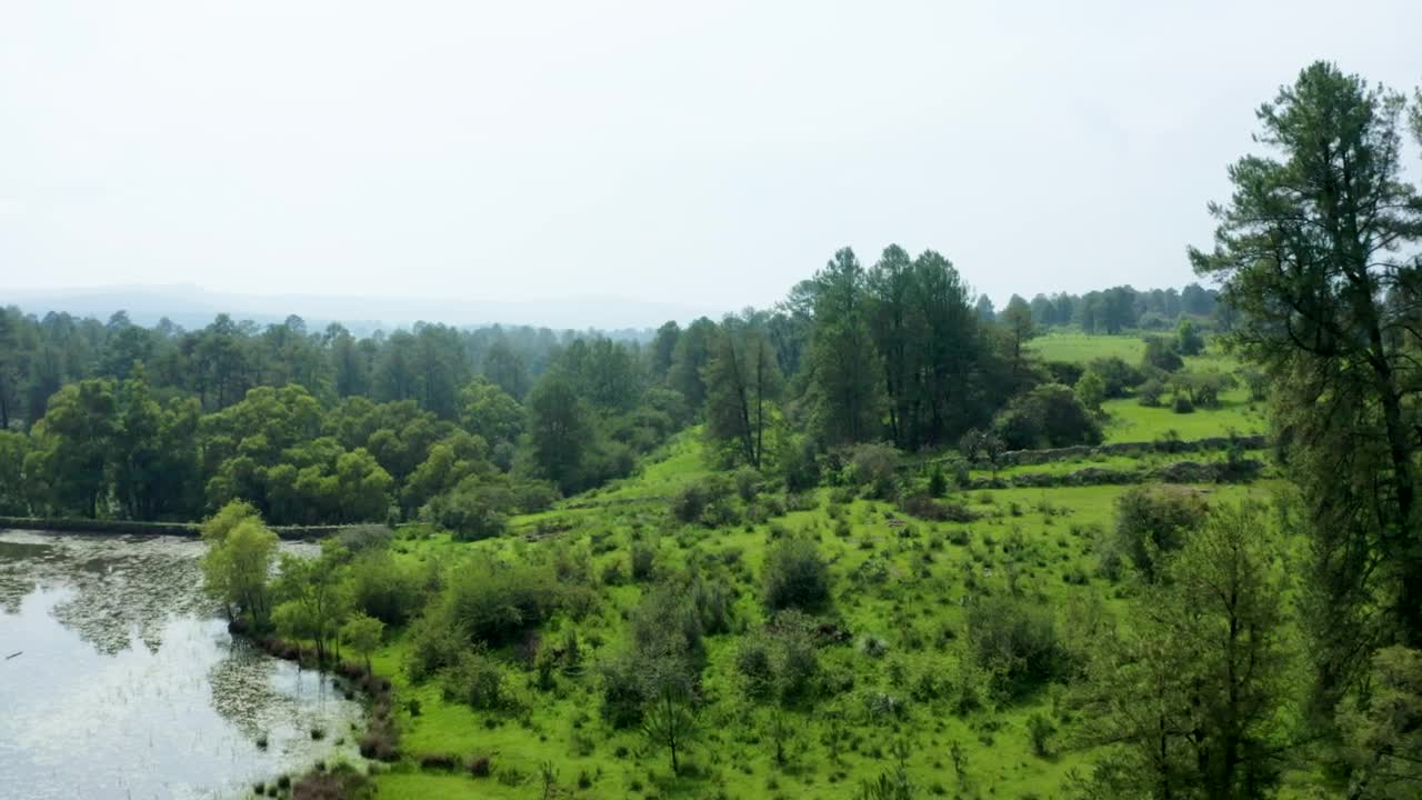 Download Stock Video Natural Landscape In An Aerial View Around A Forest Live Wallpaper